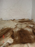 DSC02649.jpg