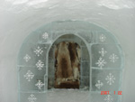 DSC02631.jpg